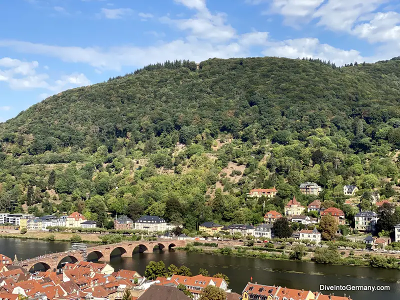 Looking at Heiligenberg from Heidelberg Castle. Look for St Stephan's Monastery in the little clearing near the top